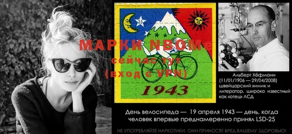 прущие грибы Осинники
