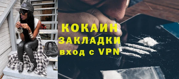 прущие грибы Осинники