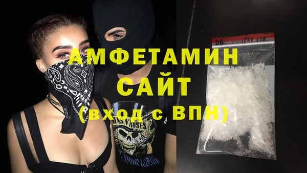 прущие грибы Осинники