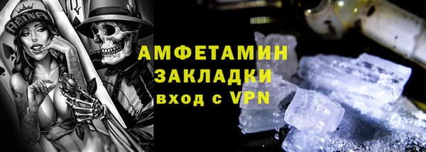 прущие грибы Осинники