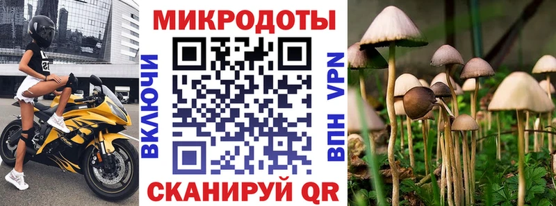 Галлюциногенные грибы Psilocybine cubensis  Костерёво 